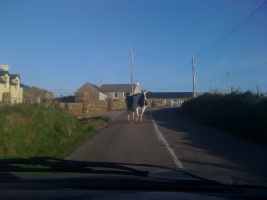 West Cork Morning traffic